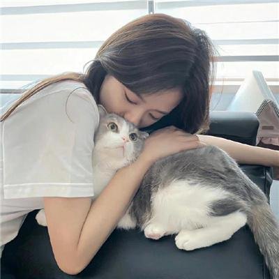 生命之环 海报