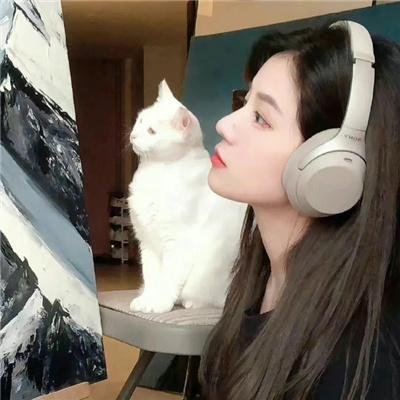 宝藏 海报