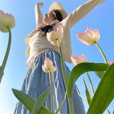 企鹅 海报